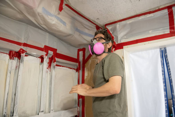 Mold Removal for HVAC Installations in Mauston, WI